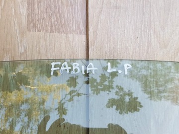SKLO (OKNO) BOČNÍ LEVÝ PŘEDNÍ SKODA FABIA