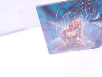 ОБЛОЖКИ ДЛЯ ПЛАСТИНКИ [12] ИЗ ТОЛСТОЙ ФОЛЬГИ, 50 ШТ.