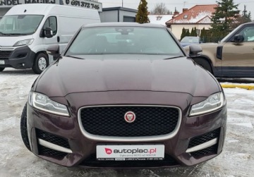 Jaguar XF II Sedan 2.0 i4D 163KM 2017 Jaguar XF sprowadzone, zarejestrowane 2.0 Diesel 163KM, zdjęcie 9