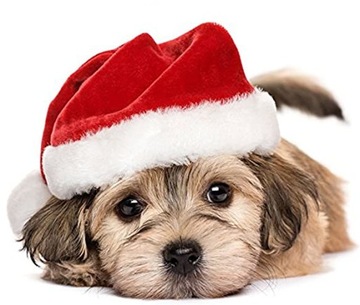 РОЖДЕСТВЕНСКАЯ ШАПКА САНТЫ С ПОМПОНОМ ПЛЮШ ПРЕМИУМ