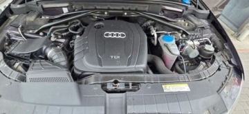 Audi Q5 I SUV 2.0 TDI 170KM 2011 Audi Q5 Audi Q5 2.0 TDI 170KM Quattro S tronic Xenon PDC Klima Navi, zdjęcie 34