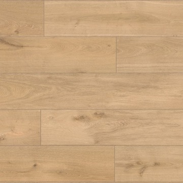 PANELE ROCKO BARISTA 5mm AC6 R077