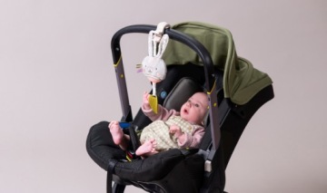 Музыкальная шкатулка Garden Rabbit Taf Toys - Музыкальная игрушка со светом