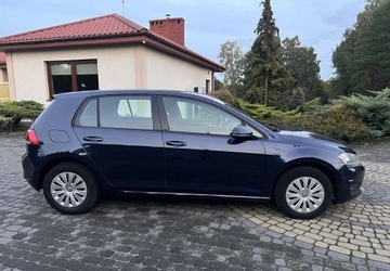 Volkswagen Golf VII Hatchback 3d 1.2 TSI 85KM 2014 Volkswagen Golf VII 1.2 TSI 86KM Highline BiXenon LED PDC 1wł. SerwisASO, zdjęcie 5