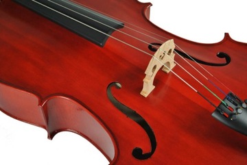 ДЕРЕВЯННАЯ ВИОЛОНКА HESSLER 1/8