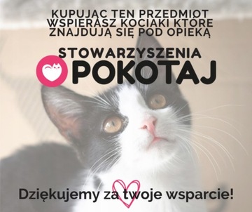 Блогер и соцсети Томек Томчик