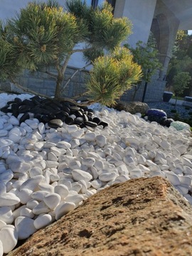 ГЛЯНЦЕВЫЙ КАМЕНЬ ТАССОС 1-2 СМ СНЕЖНО-БЕЛЫЙ САД