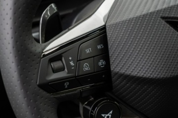 Cupra Formentor Crossover 1.5 TSI 150KM 2026 Cupra Formentor Tribe Edition 1.5 e-TSI 150 KM DSG, zdjęcie 19