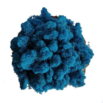 Финский мох 500г NET Синий