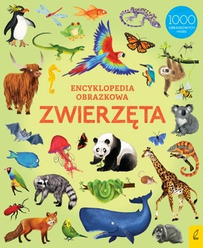 Encyklopedia obrazkowa. Zwierzęta /Wilga/