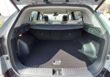 Kia Sportage V SUV 1.6 T-GDI 160KM 2024 Kia Sportage 1.6 Benzyna 160KM, zdjęcie 21