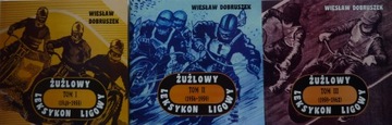 Wiesław Dobruszek ŻUŻLOWY LEKSYKON LIGOWY 1-3