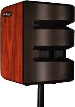 Л.Р. Бэггс Синапс, Пенсильвания