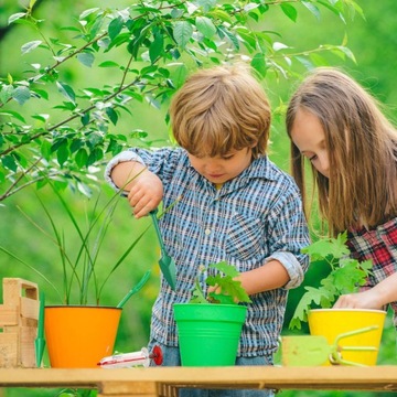 Инструмент для посева садовых плантаторов Dibber and Widger Plastic-B Seedlings
