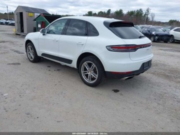 Porsche Macan 2021 Porsche Macan 2021 2.0l 2.0 Benzyna 248KM, zdjęcie 3