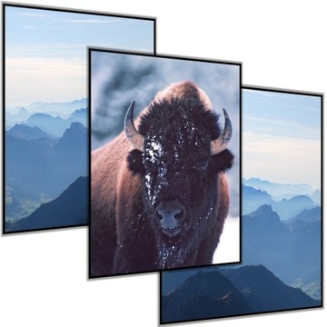3 x PLAKAT OBRAZ 40x50 NIEBIESKI GÓRY ŻUBR WIDOK
