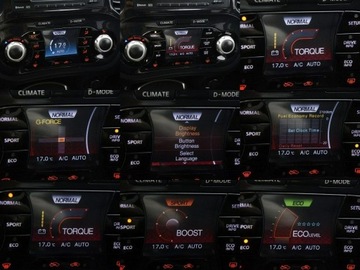 Nissan Juke I SUV 1.6 DIG-T 190KM 2011 Nissan Juke 1.6 Turbo Tekna nawi kamera cofania, zdjęcie 28