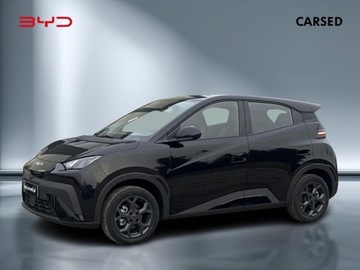 BYD 2025 BYD Dolphin Surf Elektryczny 88KM