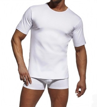 Мужская ФУТБОЛКА CORNETTE 202 XL