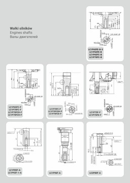 LC1P70FCE-START-F LONCIN Silnik spalinowy z rozrusznikiem elektr. 80/22mm