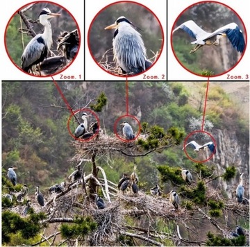 Рыболовный бинокль МОНОКУЛЯР + ЗАЖИМ ДЛЯ СМАРТФОНА