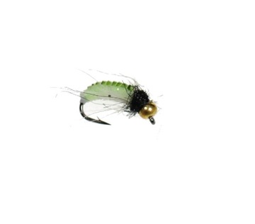 Sztuczne muchy #12 nimfa Cased Caddis UV /069