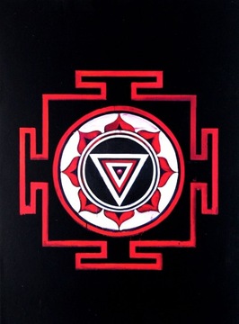 CIEŃ GÓRY. AUDIOBOOK - GREGORY DAVIS ROBERTS (AUDI