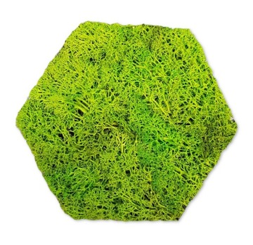 Panel dekoracyjny hexagon mech chrobotek heksagon