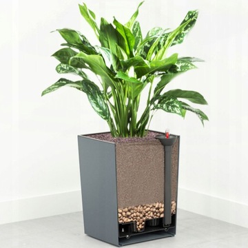 Kompletny Zestaw do przesadzania Palm