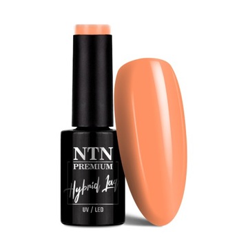 Lakier hybrydowy Ntn Premium Milkshake 5g nr 310