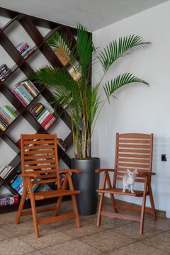 Комплект садовой мебели, комплект из 6-местных стульев, мебель из эвкалипта.