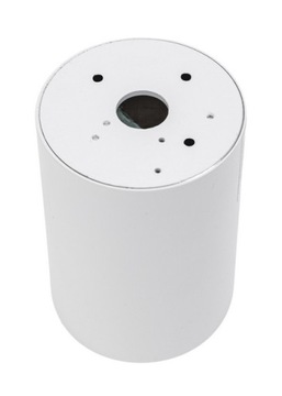 ПОТОЛОЧНЫЙ СВЕТИЛЬНИК SPOT TUBE, БЕЛОЕ ЗОЛОТО, LED