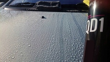 ADBL QD1 500 мл - БЫСТРАЯ ПОДРОБНОСТЬ глянцевый блеск