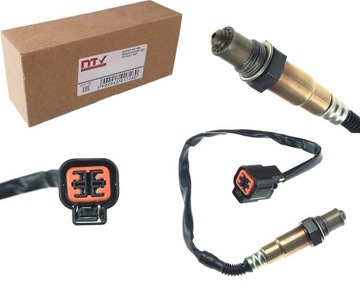 ESL-HY-504 NTY ЛЯМБДА NTY ЗОНД