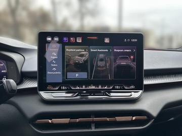 Cupra Terramar SUV 1.5 eTSI 150KM 2024 Cupra Terramar 1.5 eTSI 150KM Audio Sennheiser Pak, zdjęcie 16