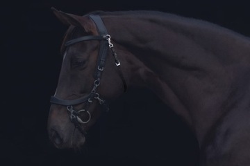 PRESTEQ FAYSPORT Черный нашейный ремень [S: M/L]