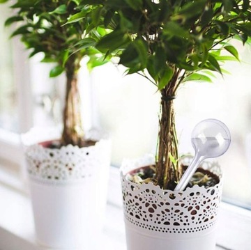 10x KULE NAWADNIAJĄCE DO KWIATÓW ROŚLIN DOZOWNIK WODY DO PODLEWANIA DOMOWY