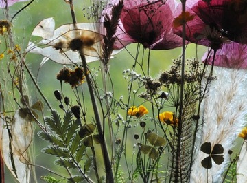 Картина польских растений, выполнена на заказ.