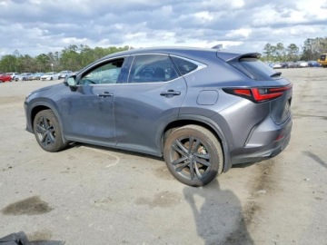 Lexus NX II 2024 Lexus NX 450h Luxury 2024 2.5 Hybryda 240KM, zdjęcie 1