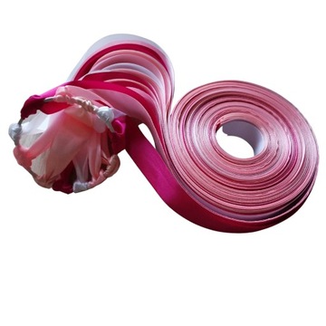 Запорное кольцо из 24 лент.