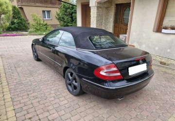 Mercedes CLK W209 Cabrio A209 2.6 V6 (240) 170KM 2004 Mercedes-Benz CLK Mercedes-Benz CLK 240 Elegance 2.6 Benzyna 170KM, zdjęcie 4