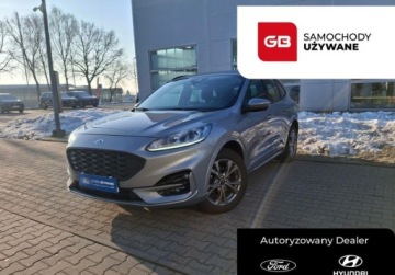 Ford Kuga III SUV 2,0 EcoBlue 120KM 2023 Ford Kuga 2.0 EcoBlue 120 KM AWD AT8 wersja ST-Line - FV23 - gwarancja do