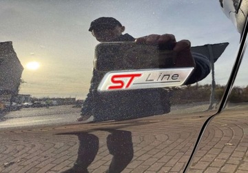 Ford Edge II SUV Facelifting 2.0 EcoBlue Bi-Turbo 238KM 2020 Ford Edge 2.0Tdci 240PS ST-line Salon PL 2.0 Diesel 238KM, zdjęcie 16