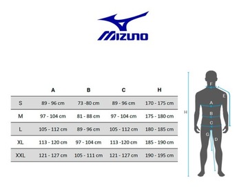 Леггинсы Mizuno BG3000 Длинные тайтсы AW20