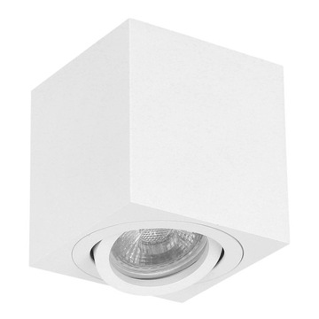 OPRAWA NATYNKOWA HALOGENOWA GU10 SPOT LED 2 KOLORY