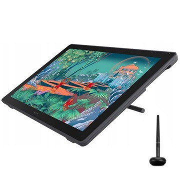 Tablet graficzny Huion Kamvas 24 QHD
