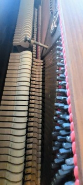 Калисия фортепиано