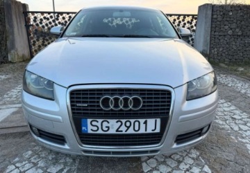 Audi A3 8P Hatchback 3d 2.0 TDI PD 140KM 2005 Audi A3 3-drzwiowe Audi A3 3-drzwiowe 2.0 TDI Attraction 2.0 Diesel 140KM, zdjęcie 12