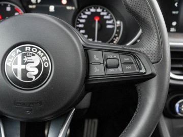 Alfa Romeo Stelvio SUV Facelifting 2.0 Turbo 280KM 2022 Alfa Romeo Stelvio CB121PJ#2.0 Turbo TI Podgrz.f, zdjęcie 14