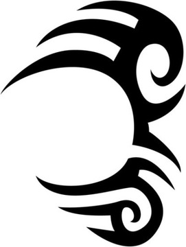TATUAŻE ZMYWALNE MIKE TYSON TRIBAL
